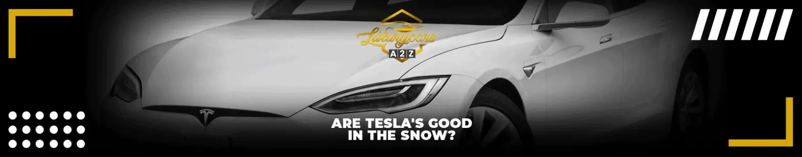 Sind Tesla gut im Schnee?