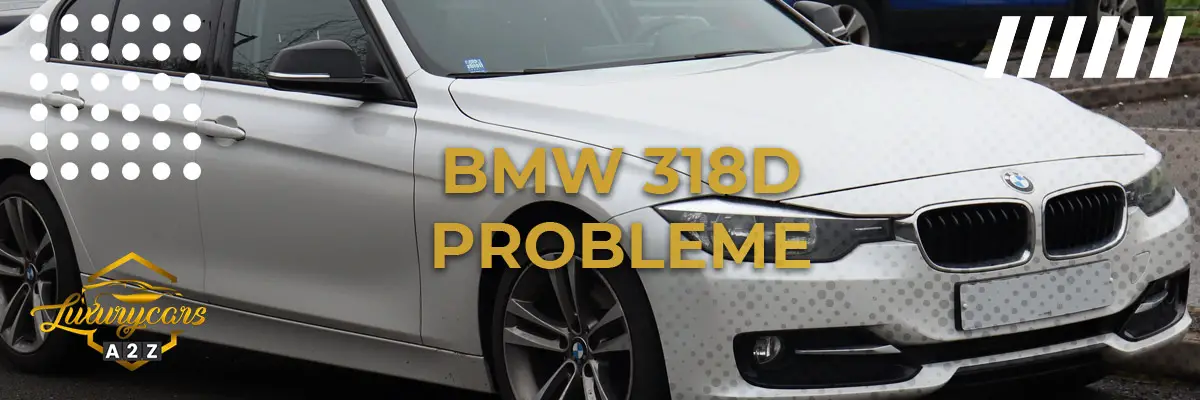 BMW 318d Probleme