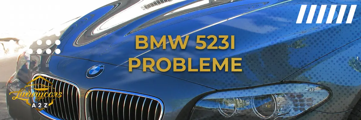BMW 523i Probleme