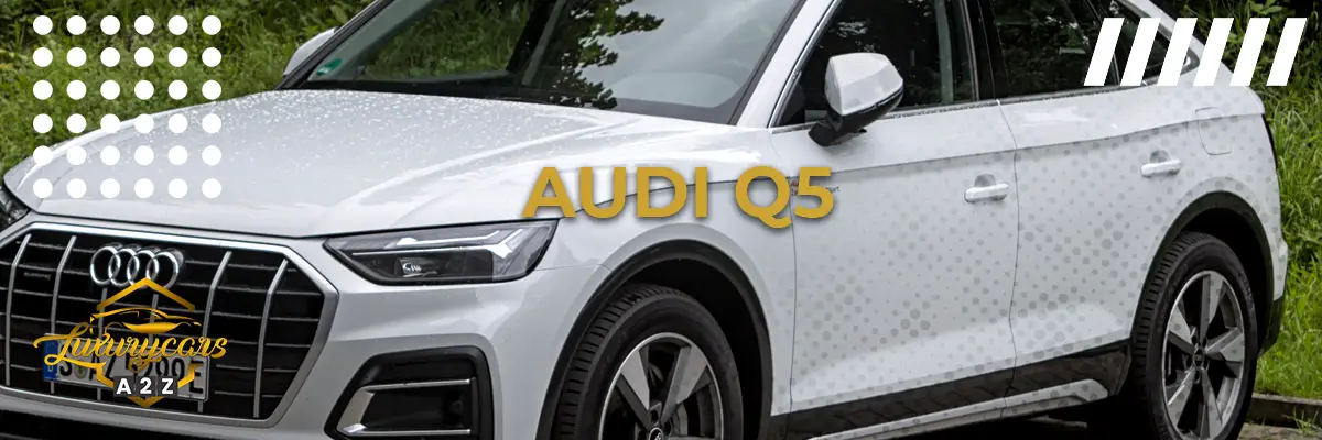 Das beste Jahr für den Audi Q5
