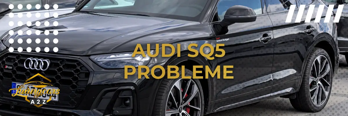 Audi SQ5 Probleme