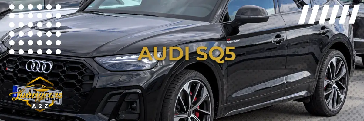 Ist der Audi SQ5 ein gutes Auto?