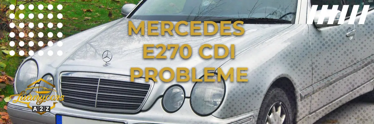 Mercedes E270 CDI Probleme