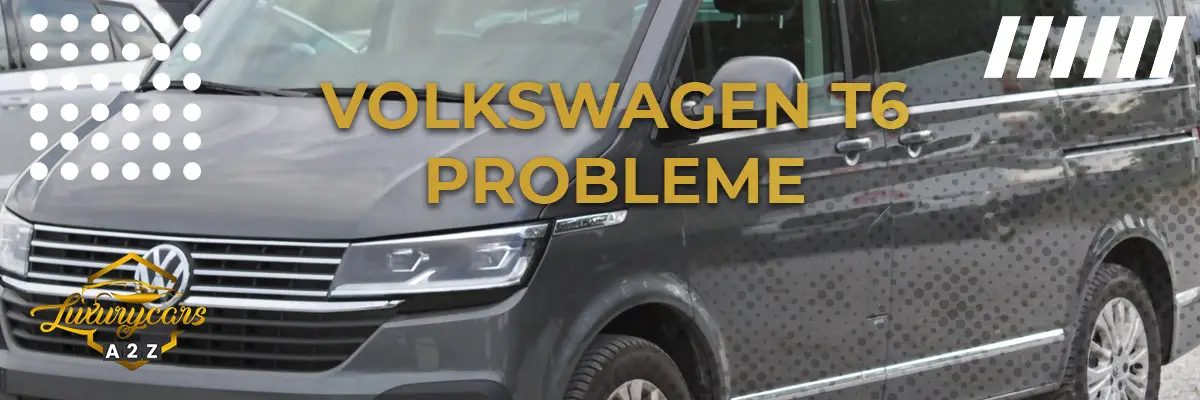Volkswagen T6 probleme