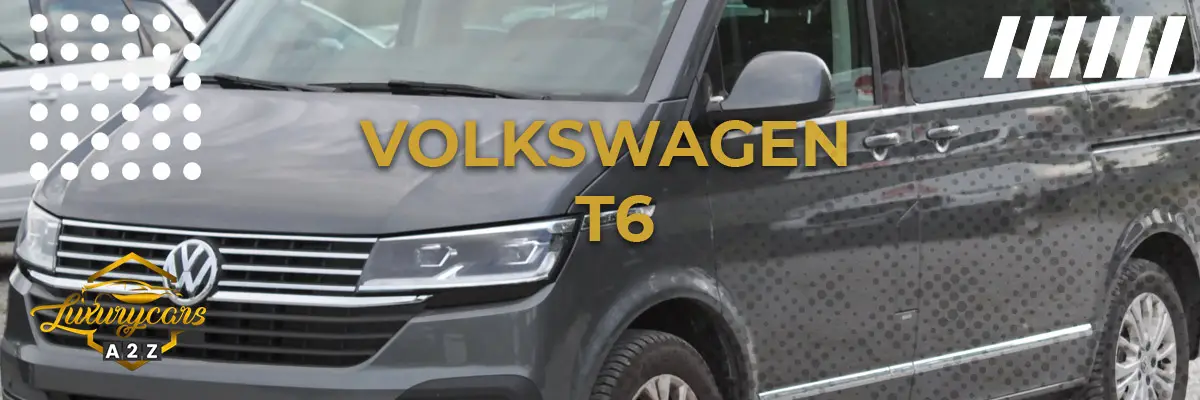 Ist der Volkswagen T6 ein guter Transporter?