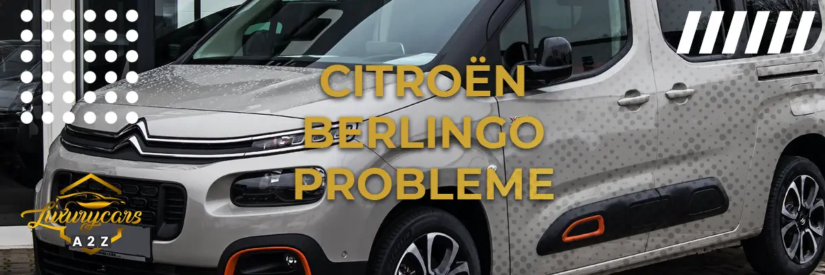 Citroën Berlingo Probleme