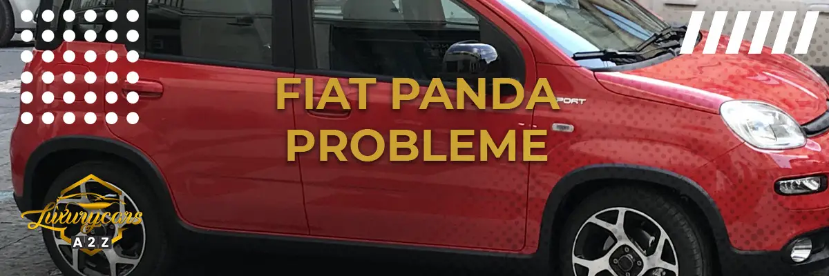 Fiat Panda Probleme