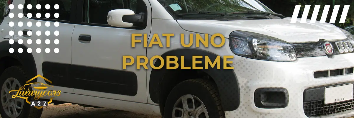 Fiat Uno Probleme