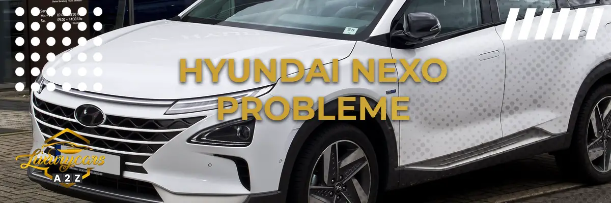 Hyundai Nexo Probleme