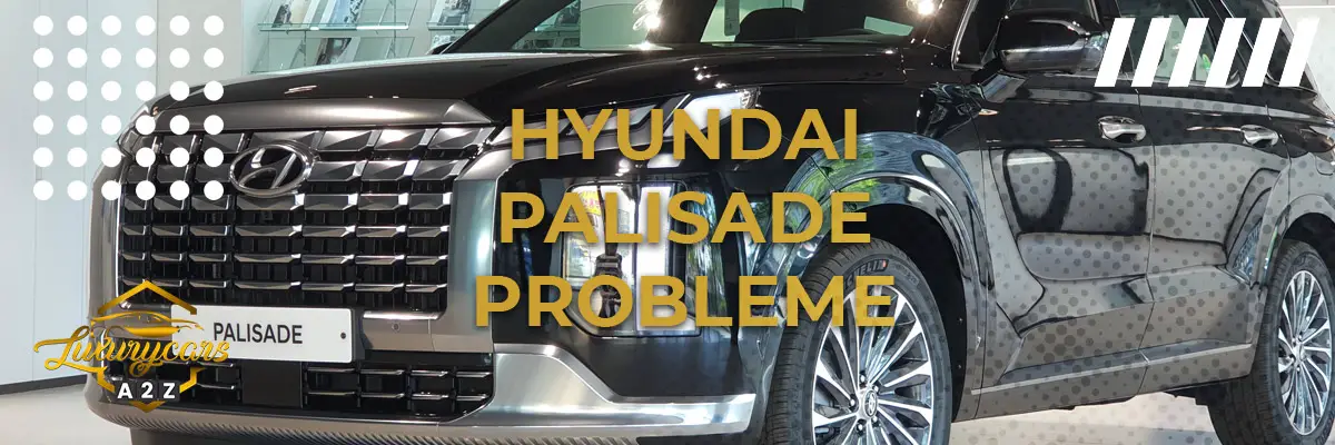 Hyundai Palisade Probleme