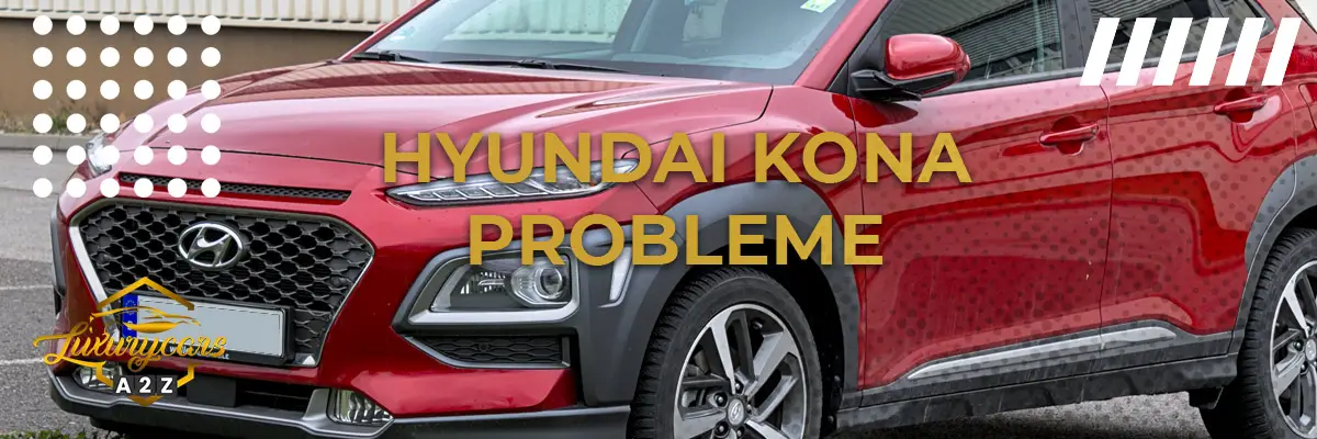 Hyundai Kona Probleme