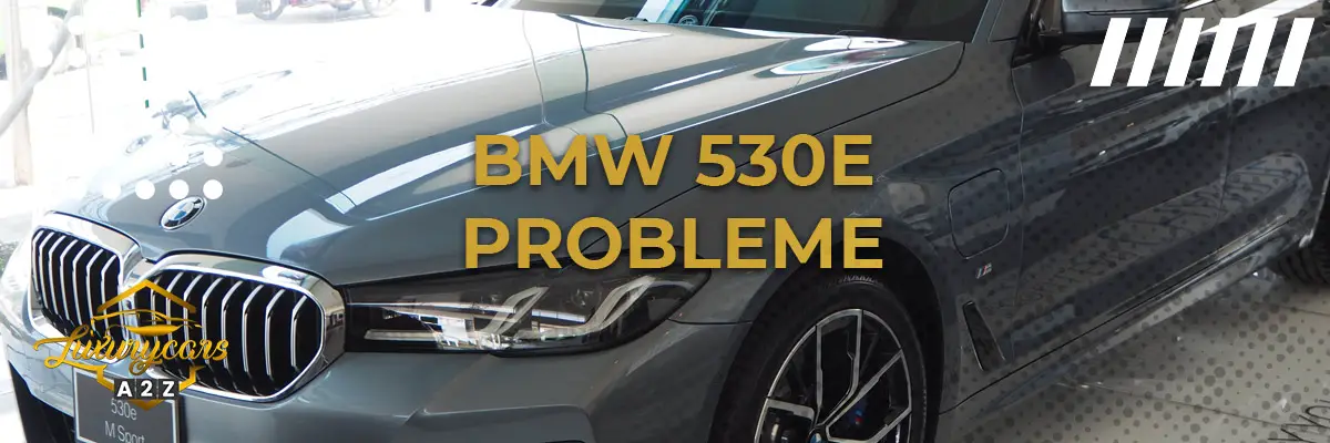 BMW 530e Probleme